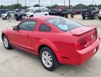 2008 Ford Mustang in SD