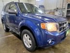 2008 Ford Escape in MN