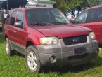 2007 Ford Escape in MO